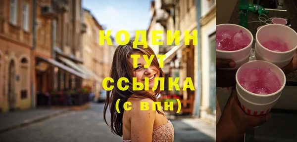 прущие грибы Заволжье