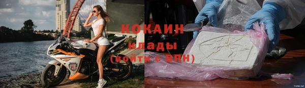 прущие грибы Заволжье
