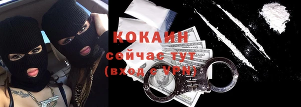 прущие грибы Заволжье