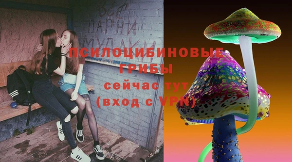 прущие грибы Заволжье