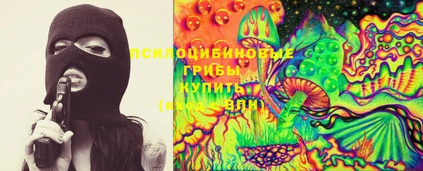 прущие грибы Заволжье