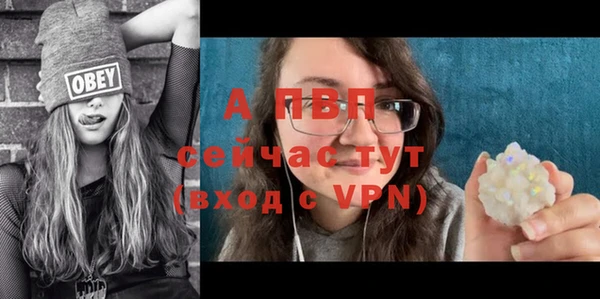 прущие грибы Заволжье