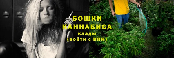прущие грибы Заволжье