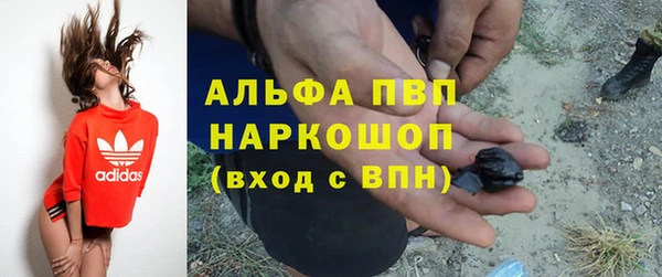 прущие грибы Заволжье