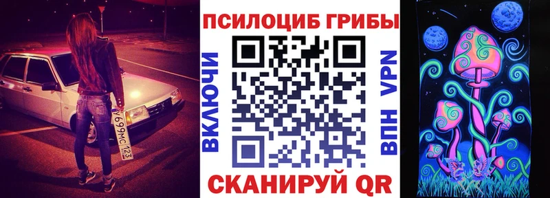 где можно купить omg Галлюциногенные грибы ЛСД Староминская